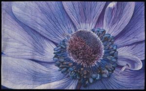 Superior Threads Master Award for Thread Artistry: "Blue Anemone" by Andrea Brokenshire of Round Rock, Texas, ($5,000); sponsored by Superior Threads.