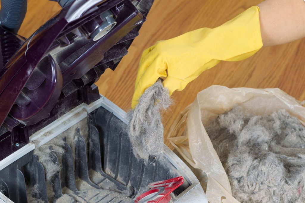 photo of gloved hand removing dirt from vacuum cleaner into plastic bag with hardwood floors in background