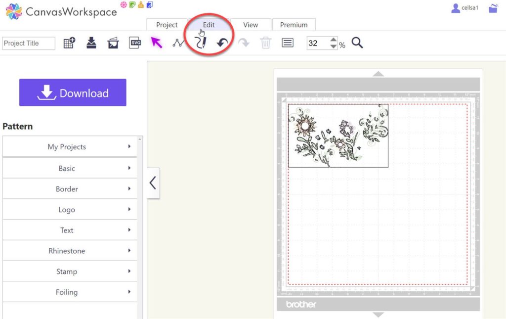 Screen shot of Canvas Workspace with edit icon circled