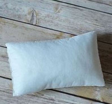 9.5 x 5.5 pillow form