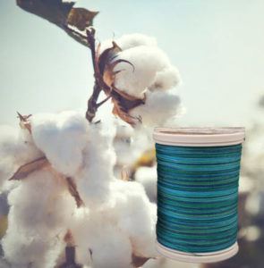 cotton thread placed in picture of cotton bolls